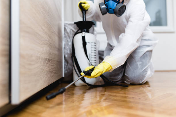 Best Bed Bug Extermination  in Lake Lure, NC