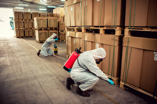 Professional Pest Control in Lake Lure, NC