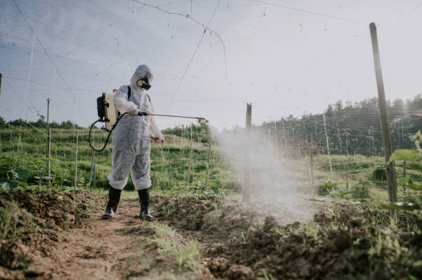 Best Best Pest Control Companies  in Lake Lure, NC