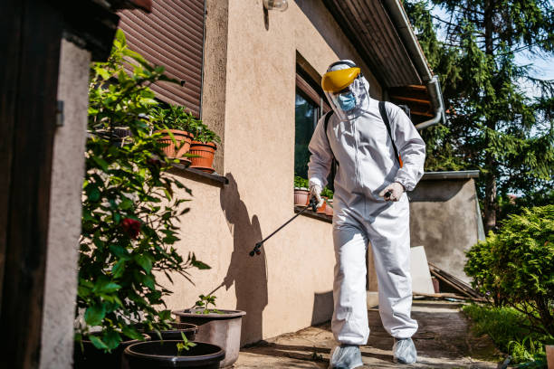 Pest Control for Restaurants in Lake Lure, NC