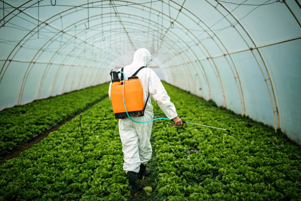 Best Pest Inspection Near Me  in Lake Lure, NC