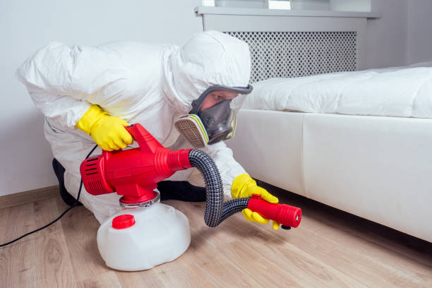 Best Pest Removal Services  in Lake Lure, NC