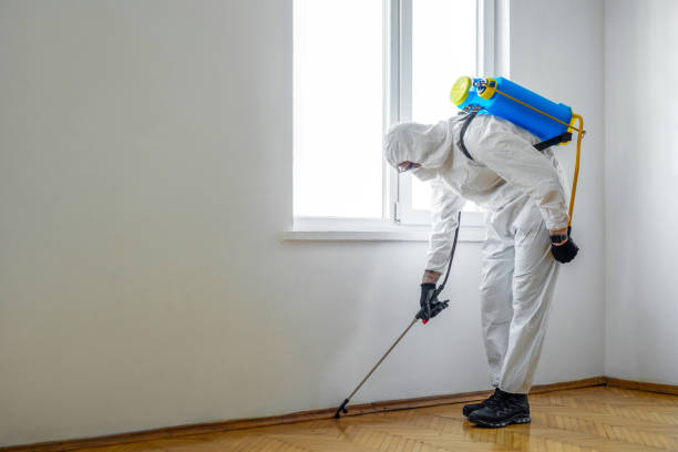 Best Pest Control for Restaurants  in Lake Lure, NC
