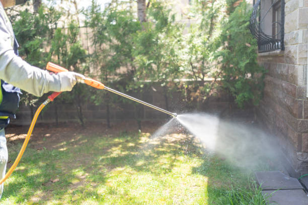 Flea Control Services in Lake Lure, NC
