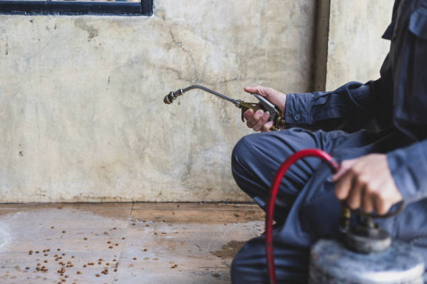 Best Best Pest Control Companies  in Lake Lure, NC