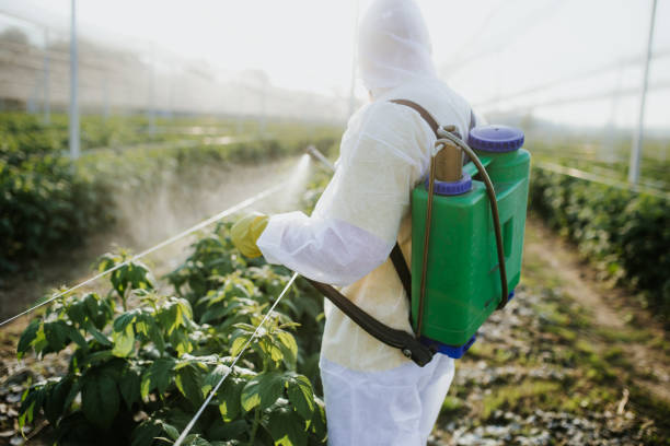 Best Exterminator Services  in Lake Lure, NC